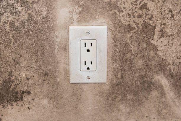 Reliable Flandreau, SD Mold Removal Solutions